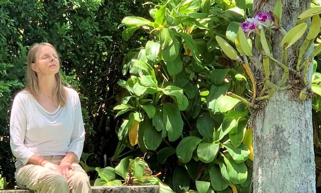 Forest Bathing & Aromatherapy